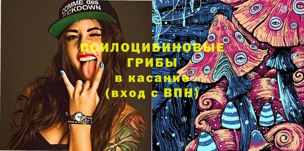 скорость Сосновка