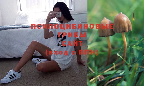 скорость Сосновка
