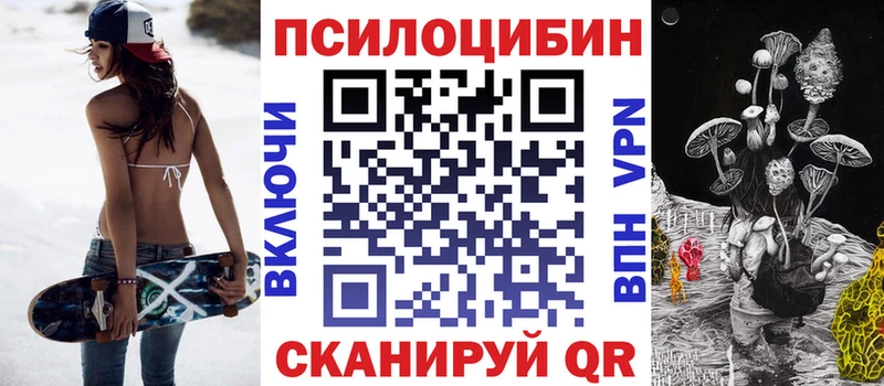 гидра Заозёрск Псилоцибиновые грибы Psilocybine cubensis